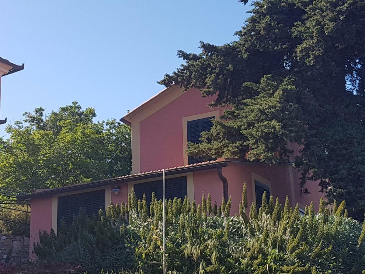 Villa Caterina Imperia Eksteriør billede